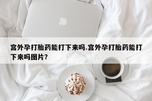 私人打胎药专卖联系微信要闻 第60页