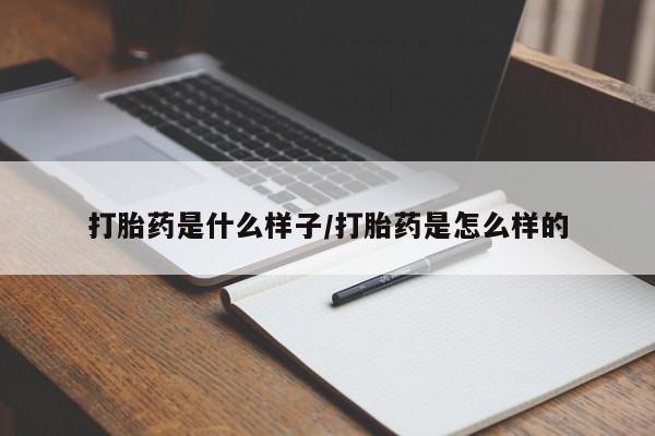 admin 第111页