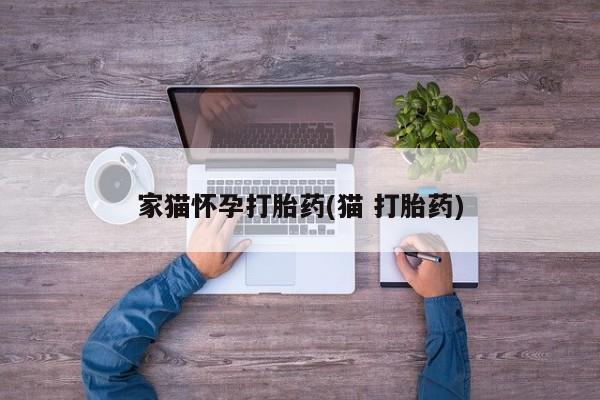 私人打胎药专卖联系微信家猫怀孕打胎药(猫 打胎药)